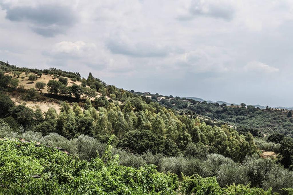 Agriturismo Miracco Atanasio Franco "Il Maniero" Santa Sofia d'Epiro Exteriör bild