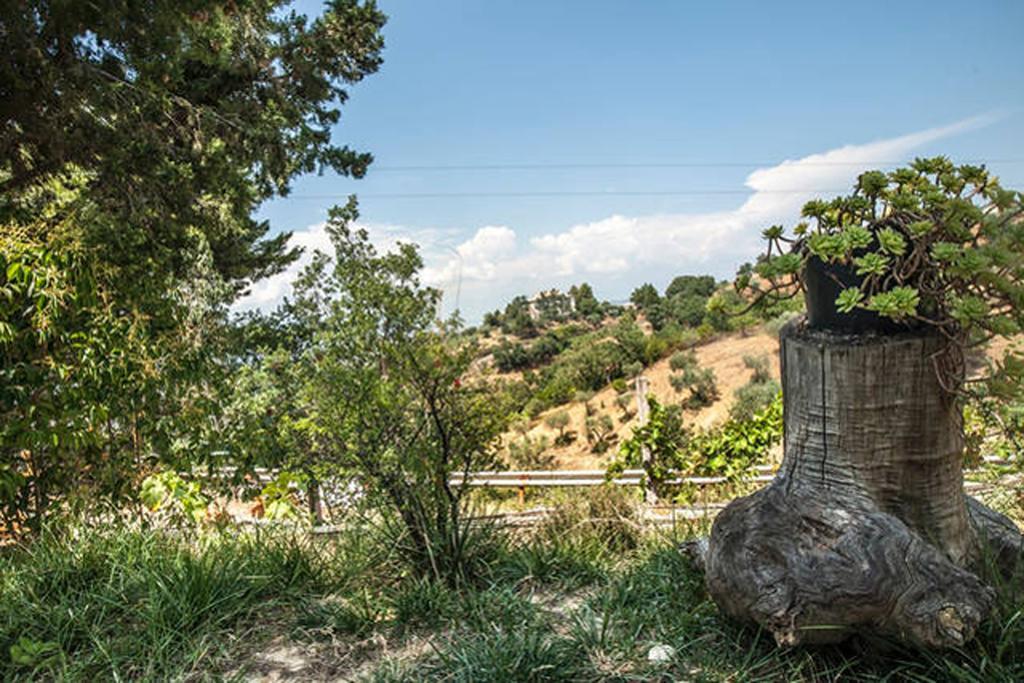 Agriturismo Miracco Atanasio Franco "Il Maniero" Santa Sofia d'Epiro Exteriör bild